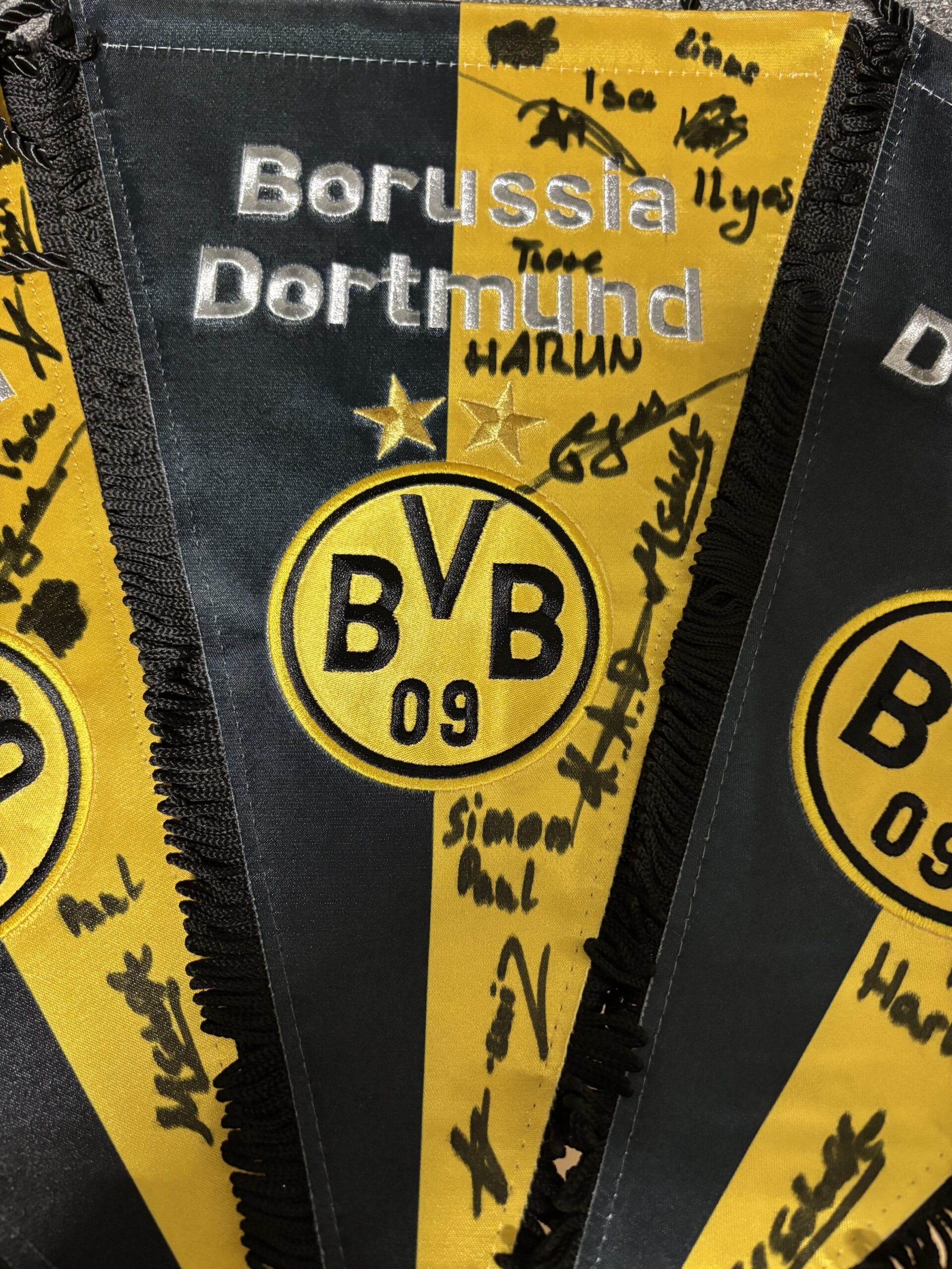 Sakura Dortmund und BVB 09 geht in die 2. Runde